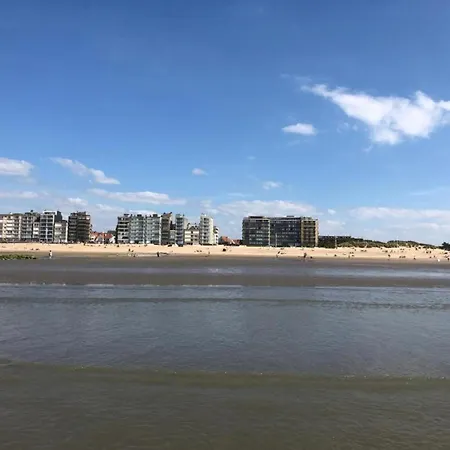 In Near The Sea * Coxyde