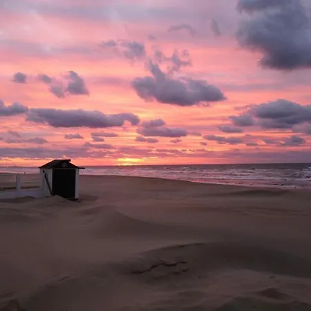 In Near The Sea Coxyde