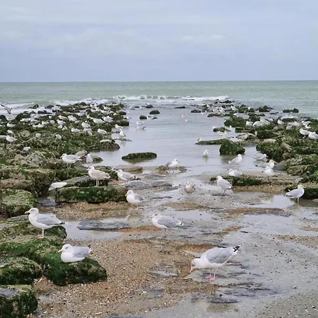 In Near The Sea *