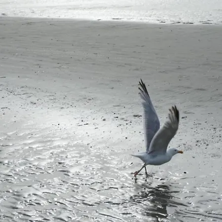 In Near The Sea Coxyde