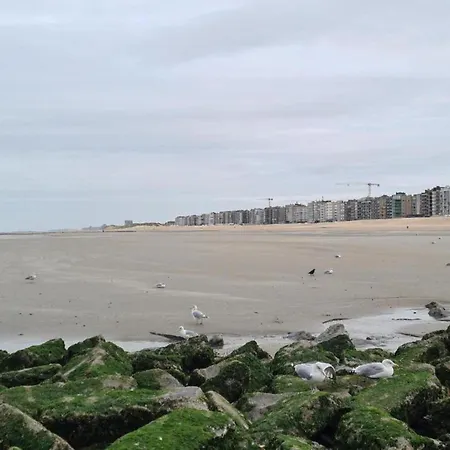 In Near The Sea Appartement