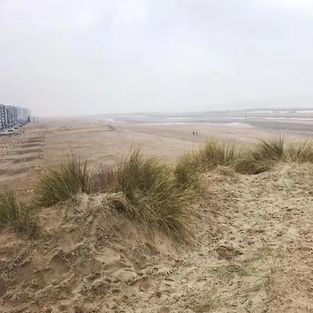 In Near The Sea Appartement