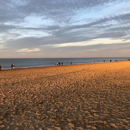 In Near The Sea *